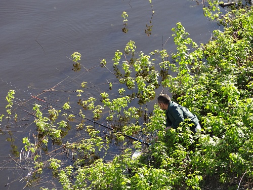 Народные приметы: на Карпа хорошо ловятся его "тезки"