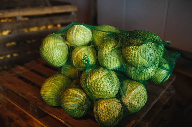 Губернатор Александр Моор поблагодарил тюменских аграриев за труд и стойкость