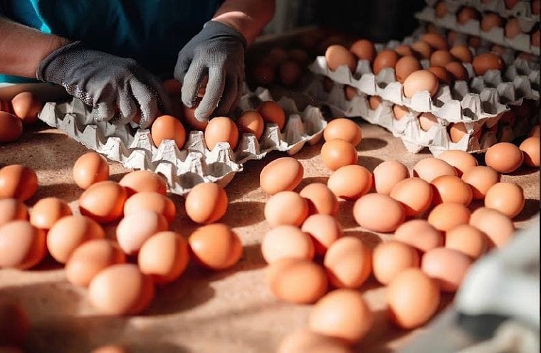 Губернатор Александр Моор поблагодарил тюменских аграриев за труд и стойкость