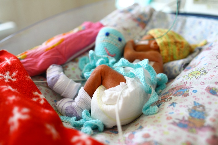 Фото: Елена Черницина