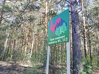 В Тюменской области в 2022 году площади лесных пожаров сокращены в 12 раз