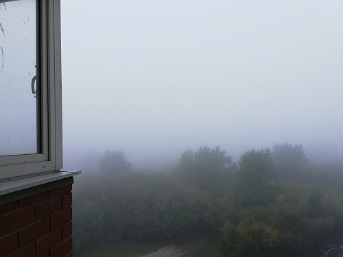 В Тюмени утро началось с густого тумана, десятки рейсов задерживаются в Рощино