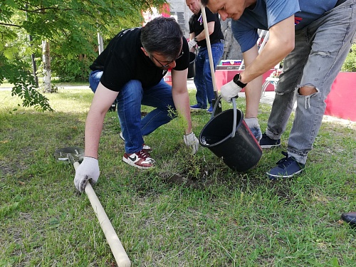 В День России в Тюмени высадили символичную аллею