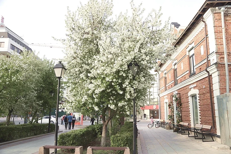 Яблони в цвету: топ-5 мест в Тюмени для весенней фотосессии