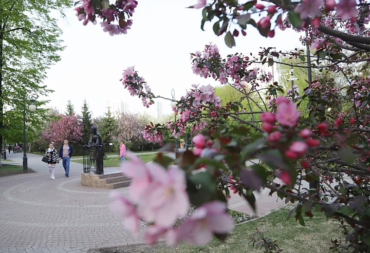 Яблони в цвету: топ-5 мест в Тюмени для весенней фотосессии