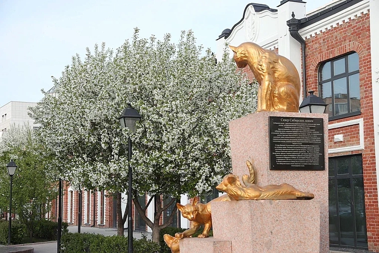 Яблони в цвету: топ-5 мест в Тюмени для весенней фотосессии