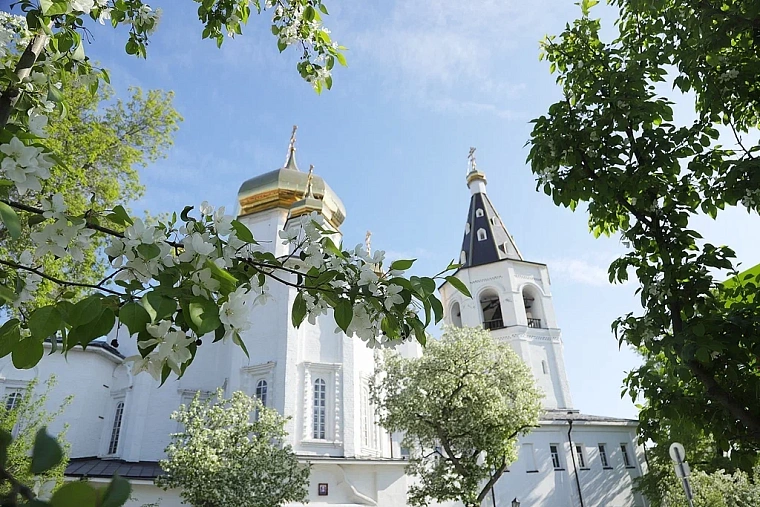 Яблони в цвету: топ-5 мест в Тюмени для весенней фотосессии