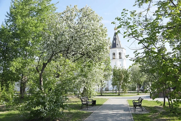 Яблони в цвету: топ-5 мест в Тюмени для весенней фотосессии