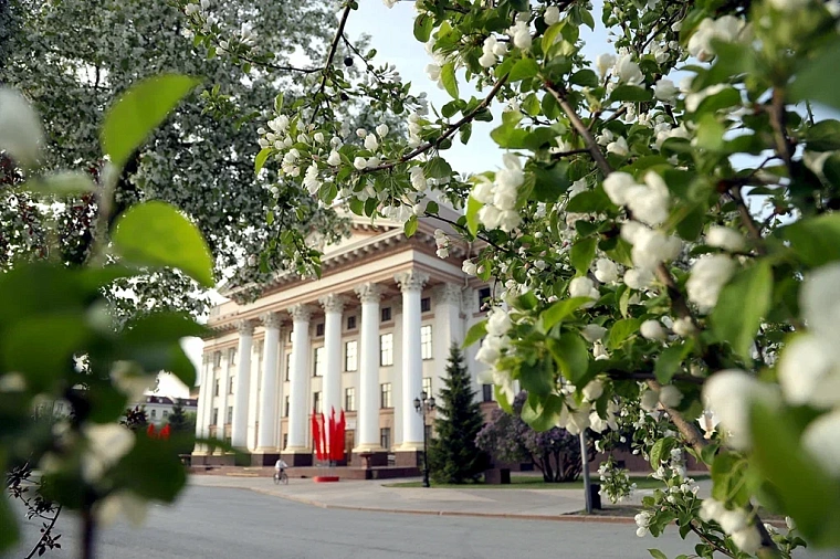Яблони в цвету: топ-5 мест в Тюмени для весенней фотосессии