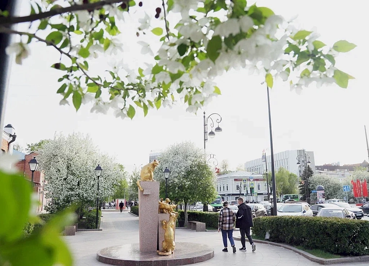 Яблони в цвету: топ-5 мест в Тюмени для весенней фотосессии