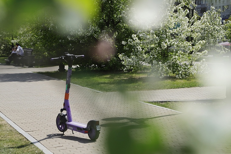 Яблони в цвету: топ-5 мест в Тюмени для весенней фотосессии