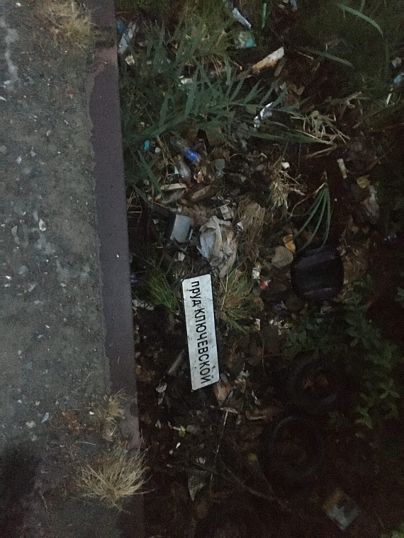 Прочесывая заброшенки, стройки и кусты. Ночной репортаж с поисков пропавшей в Тюмени девочки