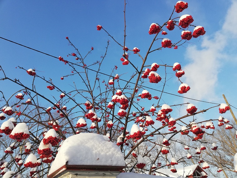 Фото: Вслух.ру 