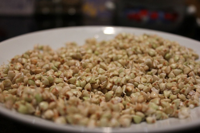 Эксперимент: Сыроед на неделю