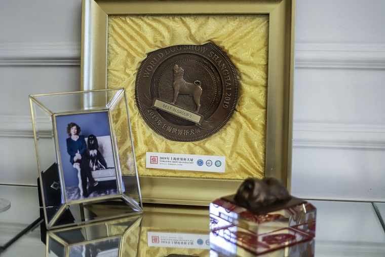 Знатная бельгийская аристократка привезла в Тюмень титул чемпиона