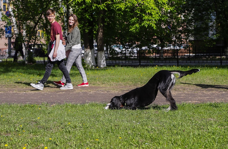 Знатная бельгийская аристократка привезла в Тюмень титул чемпиона