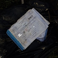 В лесу в Тюмени нашли свалку медицинских карточек