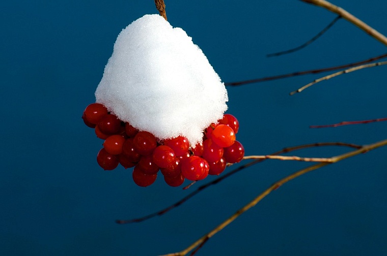 Фото: pixabay.com