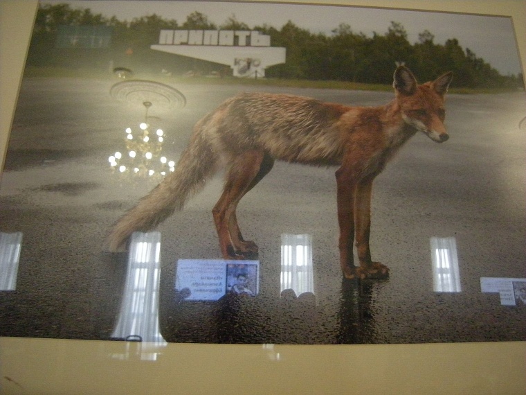 На конкурс памяти Александра Ефремова фотохудожники прислали три тысячи работ