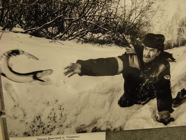 На конкурс памяти Александра Ефремова фотохудожники прислали три тысячи работ