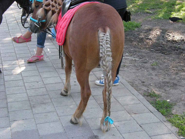 «Сны улиц» не испугались грозных туч