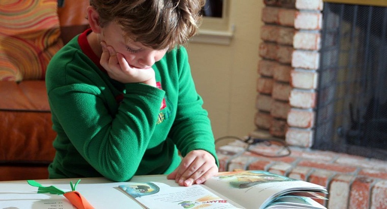 Как работает альтернативное образование в Тюмени?