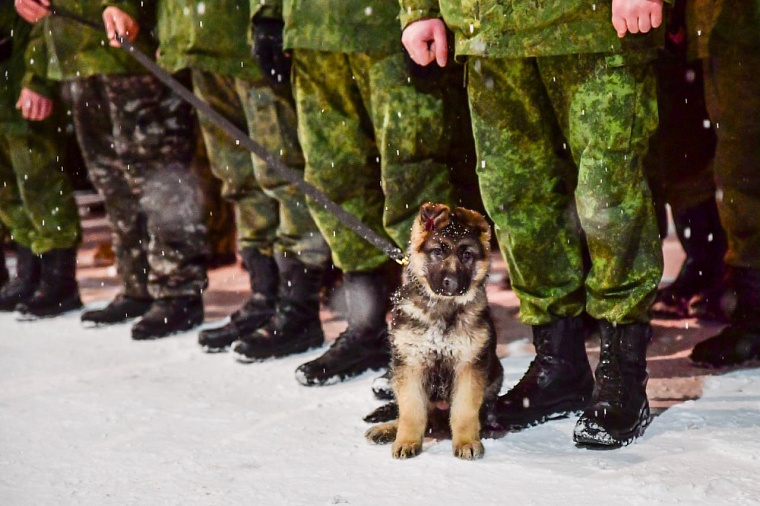 Из Тюмени на боевое слаживание проводили очередное подразделение бойцов
