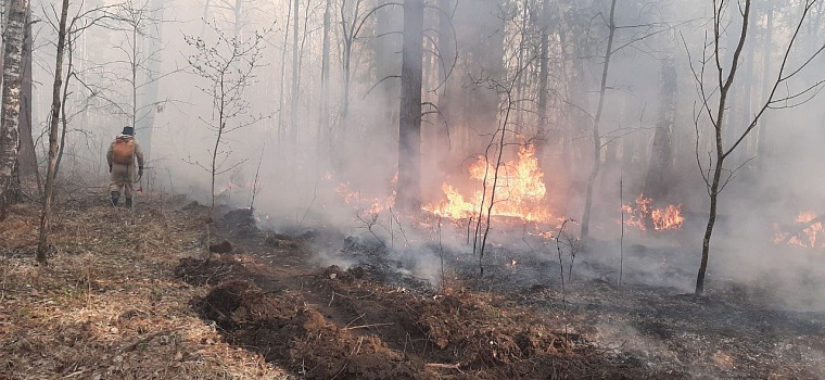 Десантники-пожарные "Тюменской авиабазы" помогли отстоять Шайдуриху