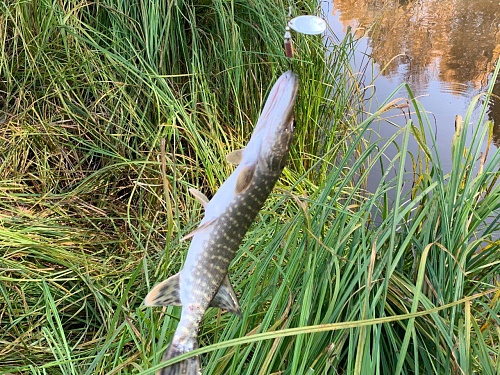 Александр Моор поздравил рыбохозяйственные предприятия области с профессиональным праздником