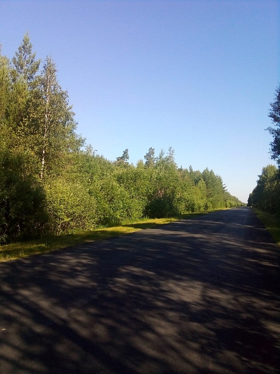 Народные приметы: в Петров день солнце играет