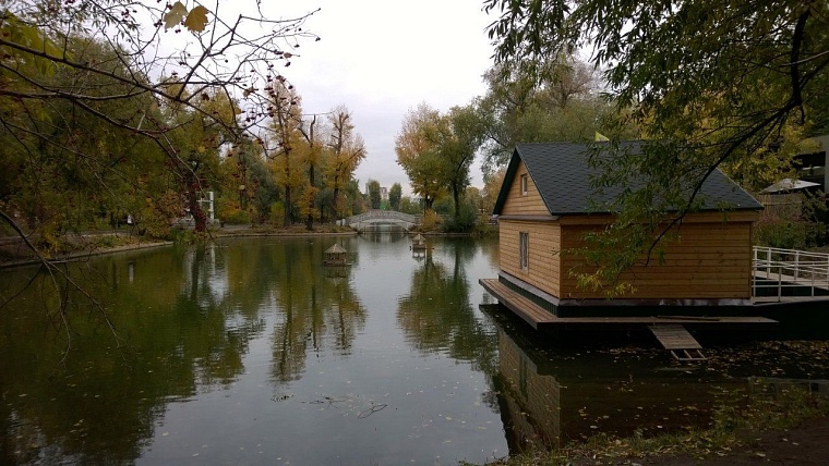 Lumia Show и обзор Lumia 930