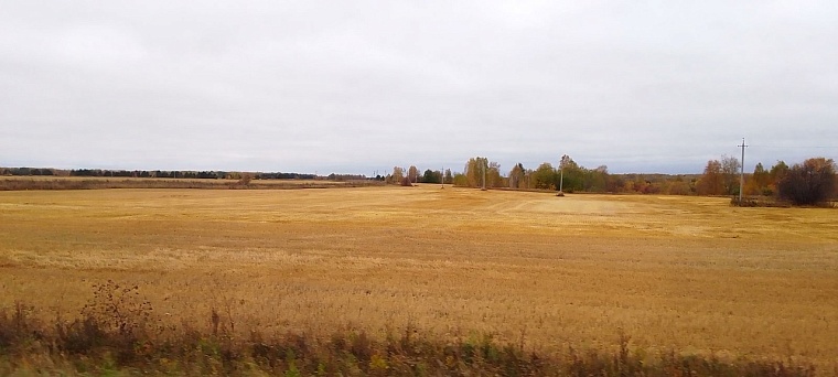 Народные приметы: теплый и сухой день - к поздней и мягкой зиме