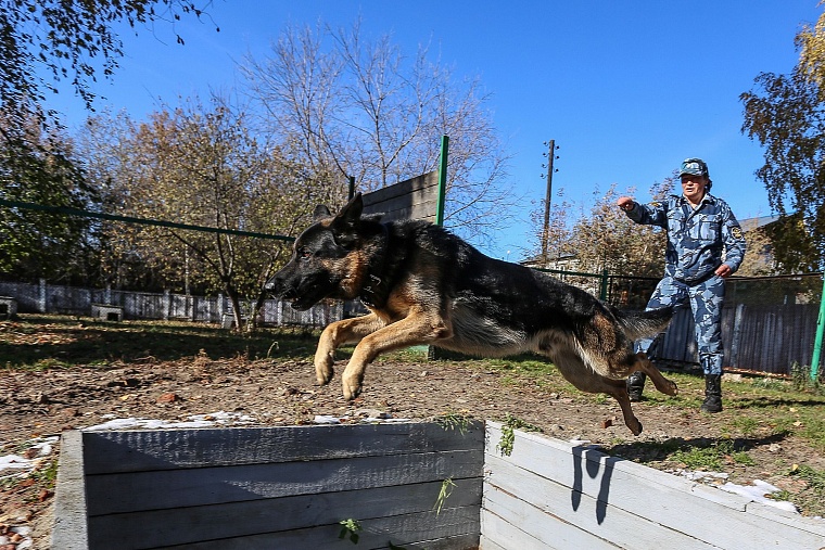 Тюменские конвоиры показали, как устроен автозак