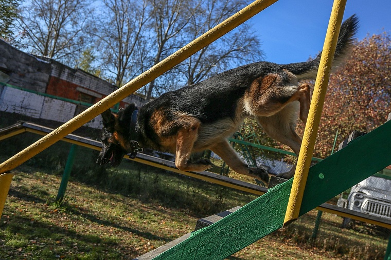 Тюменские конвоиры показали, как устроен автозак