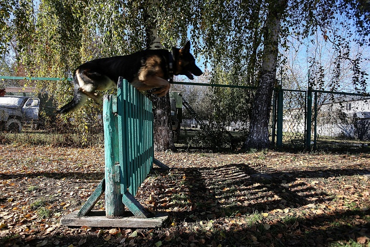 Тюменские конвоиры показали, как устроен автозак
