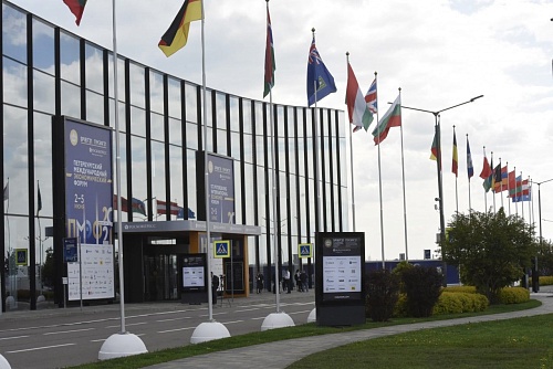 Тюменская область будет стремиться к снижению выбросов парниковых газов и внедрению зеленых технологий