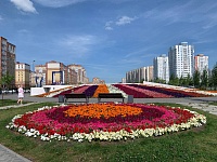 Городские цветы: в Тюмени планируют высадить более 650 тысяч цветов