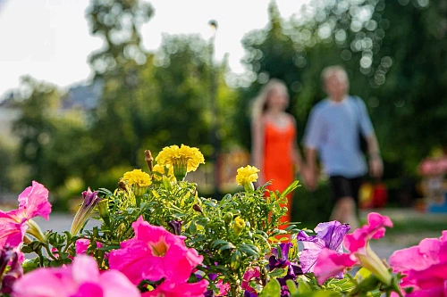 Улицы Салехарда украсят более 80 тысяч цветов