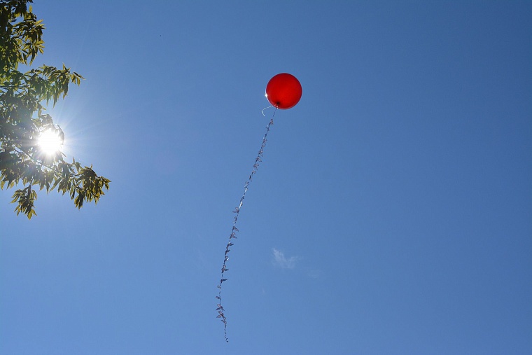 Обновленный сквер им. Семена Пацко стал визитной карточкой города