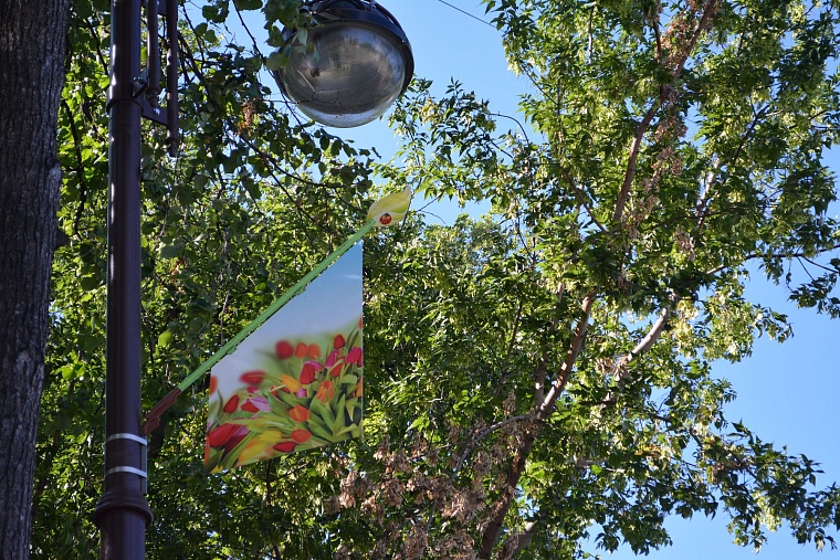 Обновленный сквер им. Семена Пацко стал визитной карточкой города