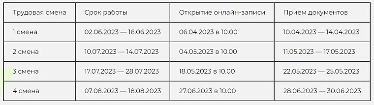 Как в Тюмени записать ребенка в «Отряды мэра» в 2023 году
