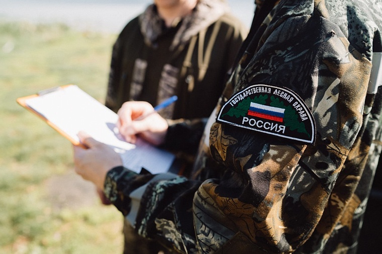 В Тюменской области создали и обновили 4 000 км минерализованных противопожарных полос