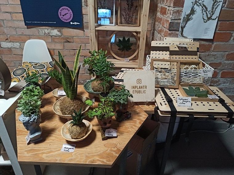 Площадка для креативных идей: в Тюмени открылся мультицентр "Контора пароходства"