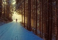 Теплая одежда, связь, здравый смысл - что еще пригодится на отдыхе в зимнем лесу
