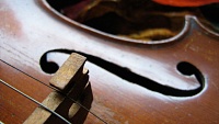 Конкурс сочинений «Моя семья в годы войны»: девочка играет на скрипке