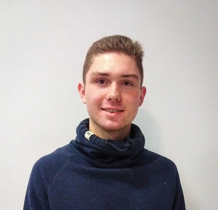 Что делать с бездомными животными зимой: мнения тюменцев