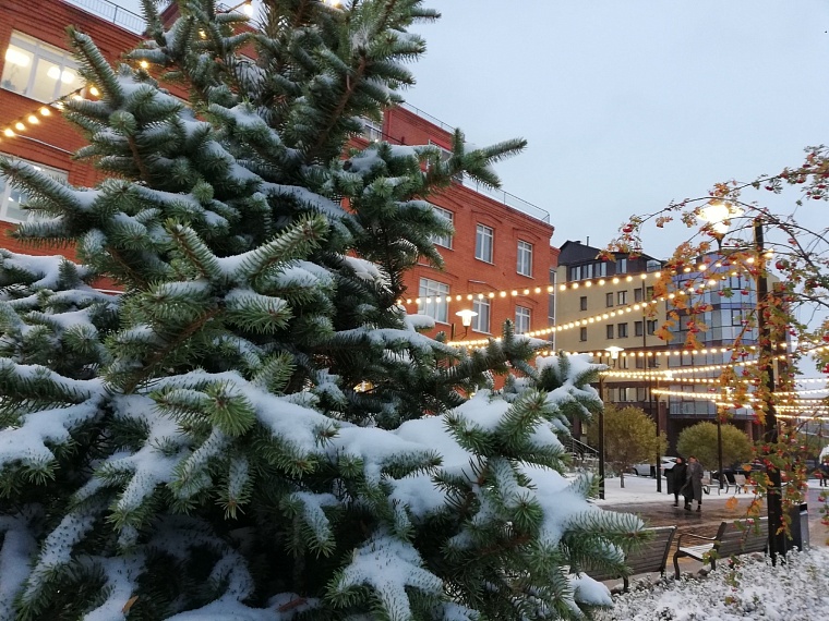 После похолодания в Тюмени начнутся снегопады