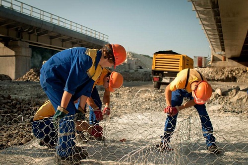 Депутаты предложили подвести студотряды под областной закон