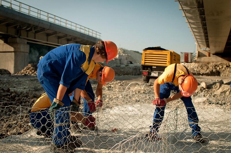 Депутаты предложили подвести студотряды под областной закон