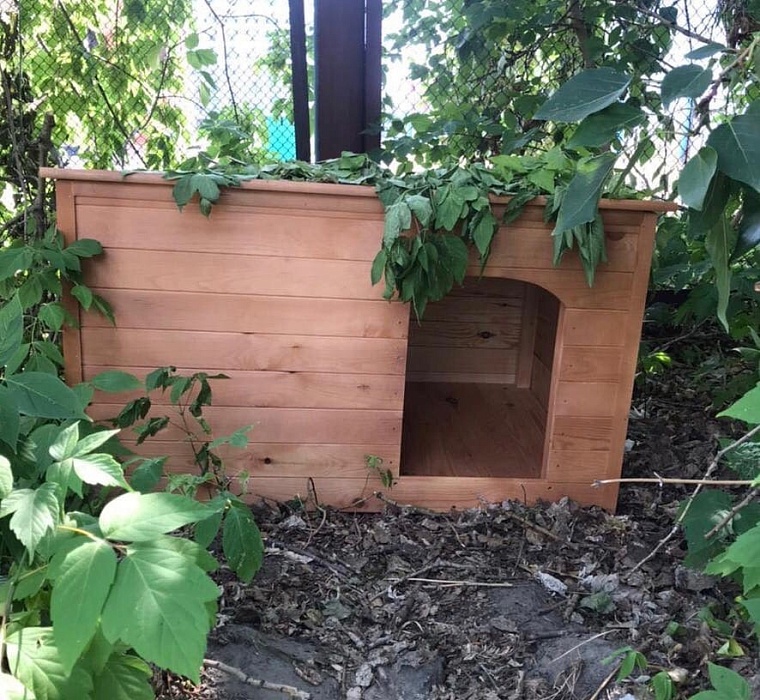 «Собирали всем миром». На Газовиков в Тюмени пропали будки для бездомных собак, которые установили волонтеры